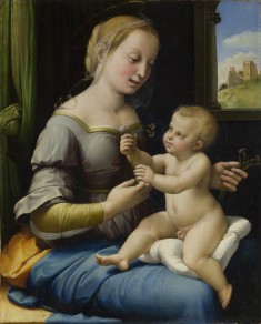 Full title: The Madonna of the Pinks ('La Madonna dei Garofani') Artist: Raphael Date made: about 1506-7 Source: http://www.nationalgalleryimages.co.uk/ Contact: picture.library@nationalgallery.co.uk Copyright © The National Gallery, London