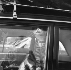 Vivian Maier, Chicago, 1966.